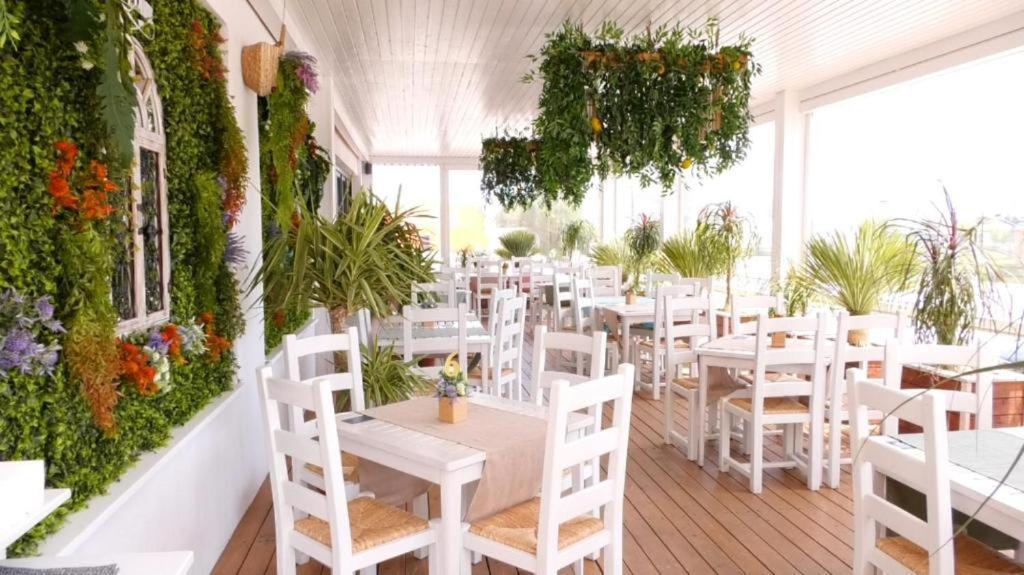 Mamaia Fratelli Summerland Exterior photo